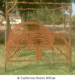 California Rustic Willow