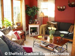 Susan Dobrovolny living room photo