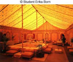 © NYIP Student Erika Born