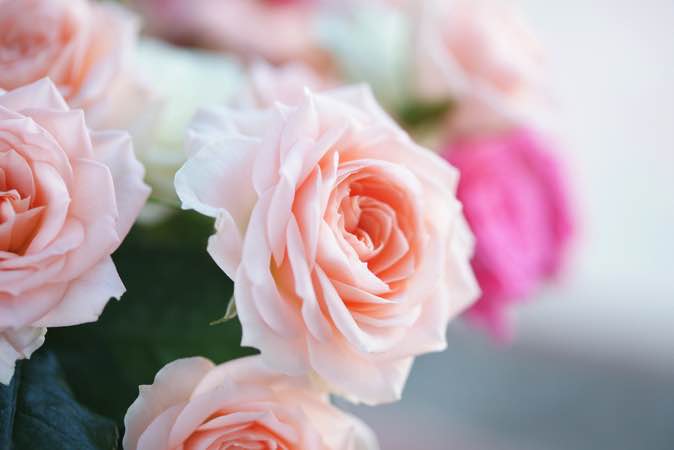 5 Valentine’s Day Floral Design Facts