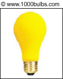 Lighting 101 - Decorative Bulbs